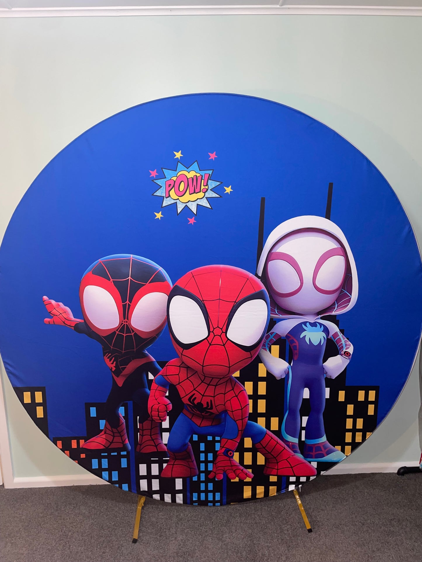 Paw Patrol + Spidey & friends Backdrop
