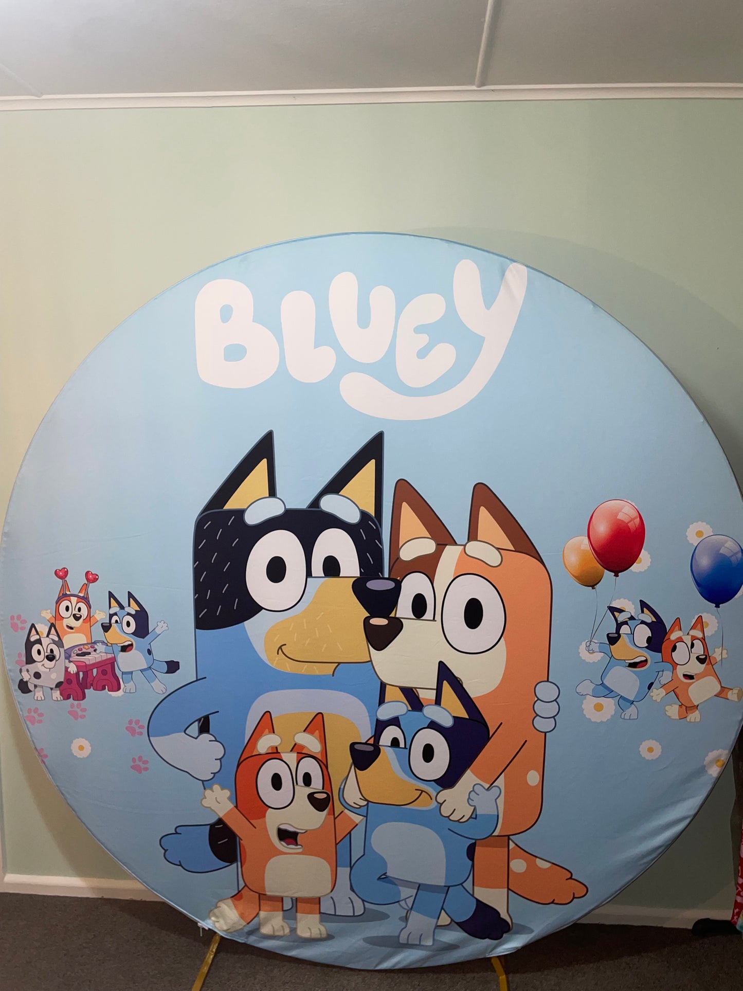 Princesses + Bluey Backdrop